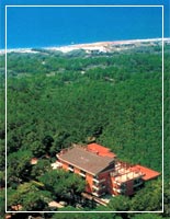 Hotel Grifone - Principina a mare